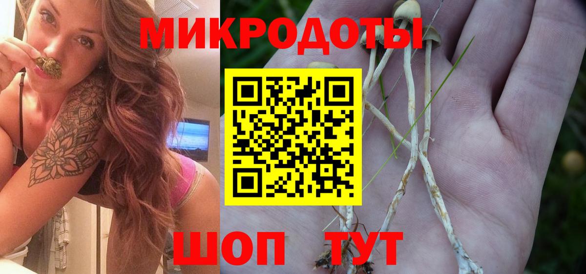 Галлюциногенные грибы GOLDEN TEACHER Екатеринбург